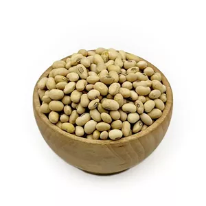 سویا آجیلی فام لند