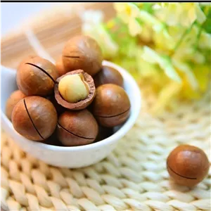 نهال فندق اونیس