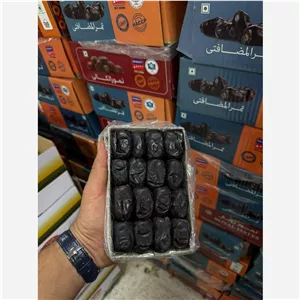 خرما رطب مضافتی گلستان بم 5کارتن 60بسته