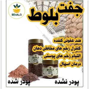 پودر شده جفت بلوط خشک  گیاه کالا سورت شده و شستشو شده با دستگاه های تمام اتوماتیک