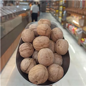 گردو کاغذی 