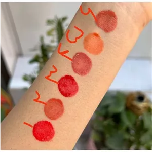 رژگونه مایع پد دار اسنس