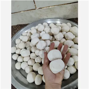 کشک محلی بهداشتی