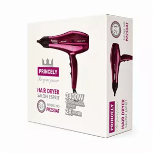 سشوار سالنی پرنسلی مدل PR250AT
