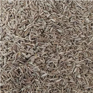 زیره سبز 1000 گرمی 
