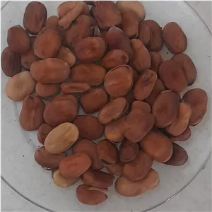 باقالا خشک 1 کیلویی
