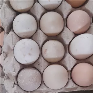 تخم اردک 30عددی
