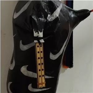 نی انبان طرح نایک (پس کرایه)
