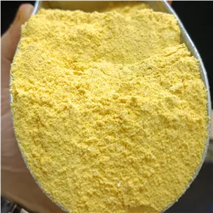 ادویه  پودر انبه 100 گرمی