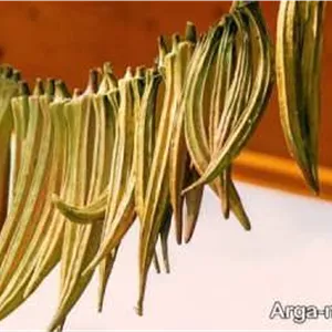بامیه خشک