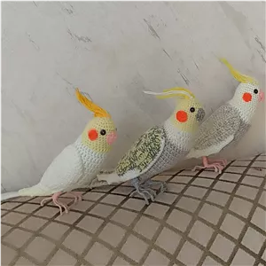 عروس هلندی عروسک پرنده اسباب بازی پت شاپ