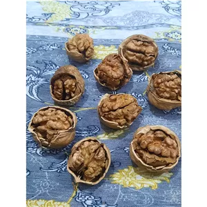 گردو مرغوب ایرانی 