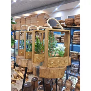 جا کلیدی گلدان کاکتوس