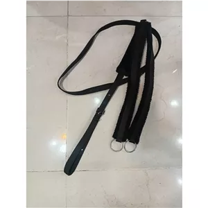 تعلیمی برزنتی اسب