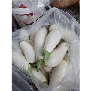 بادمجان محلی