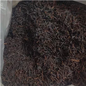 چای چوب درجه یک بهاره چین اول لاهیجان