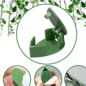 گیره نگهدارنده گیاه پتوس و رونده ده عددی