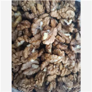 گردو ، پر چرب امساله 