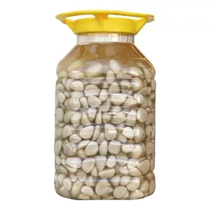 ترشی سیر مروارید درشت پت ده کیلویی (5عدد)