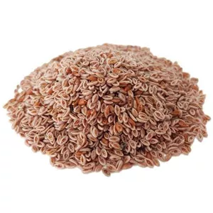 اسفرزه 100 گرمی دانه گیاهی با فیبر طبیعی و کیفیت مطلوب