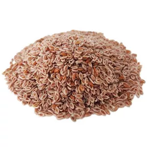 اسفرزه 500 گرمی کوثر با فیبر طبیعی و کاملا پاک شده