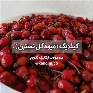 گلدیگ میوه گل نسترن