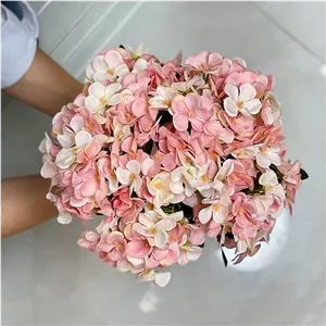 گل هورتانسیا
