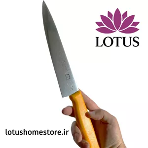چاقوی آشپزخانه اکبری دسته پلیاتیلن آنتیباکتریال مدل PP87 A با تیغه فولاد تیتانیوم ژاپن 20 سانتیمتر