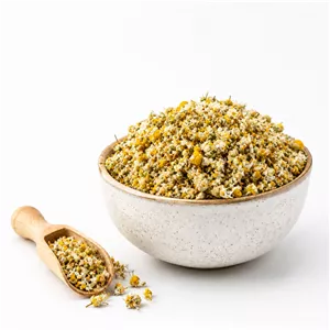 خرید گل بابونه اصل مدل 1