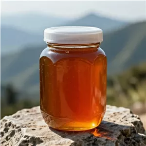 عسل صبحانه کوهی 5 ستاره ( 500گرمی ظرف پلاستیکی )