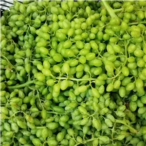 ترشی غوره،غوره غوره،شور غوره 1کیلویی