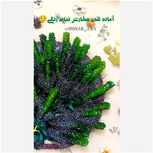 گیفت شاخه نبات 