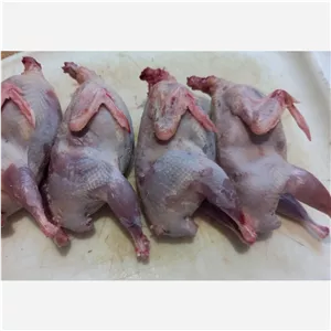 گوشت بلدرچین ارگانیک