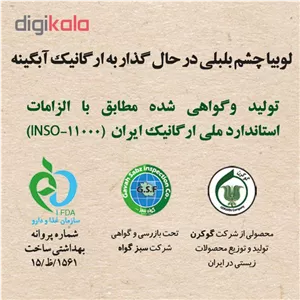 لوبیا چشم بلبلی آبگینه - 900
