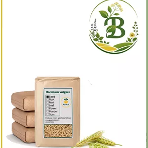 جو پوست کنده خشک فله