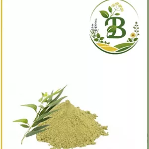 عصاره اکالیپتوس خشک یا پودری