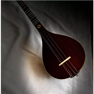 سه تار استاد زادخیل ( یک مهر)