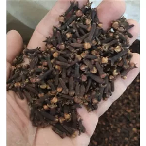 میخک اعلا