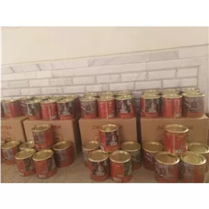  چای جهان طلایی (2 کارتن )عمده 