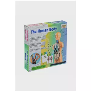 مولاژ آناتومی اعضای بدن The Human Body