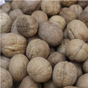 گردو پوست کاغذی گوشتی 10 کیلویی