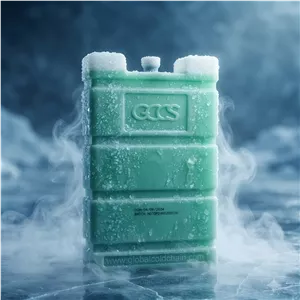 یخ خشک سفری مدل GCCS-1000g استرالیایی