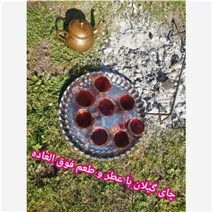 چای طبیعی و ارگانیک گیلان 