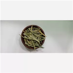 برگ زیتون درجه یک 100 گرمی ( عطاری و محصولات ارگانیک طراوت ) 