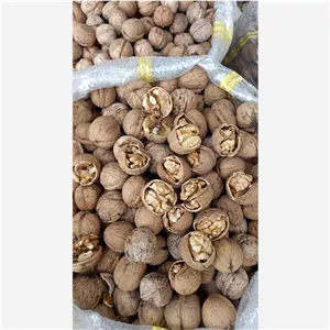 مغز گردو اصل تویسرکان 
