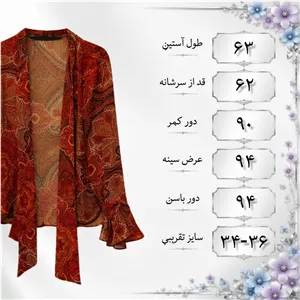 شومیز آستین بلند یقه کراواتی زنانه مدل Mary