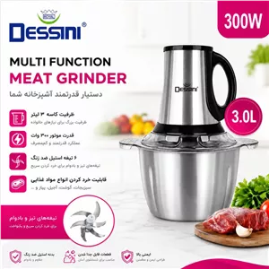 خردکن 3000 میلی لیتر دو کاسه دسینی مدل RDG-3