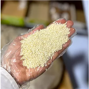 کنجد سفید بسته 250 گرم