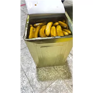 خیار شور حلب نول با کیفیت 