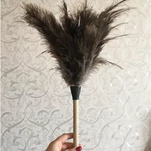 گردگیر پر شتر مرغ دسته چوبی